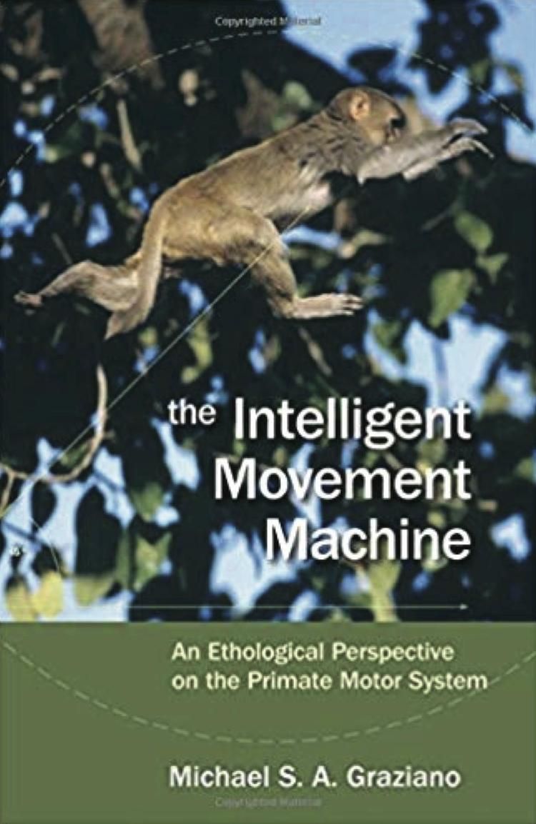 Intelligent Movement Machine, 2008